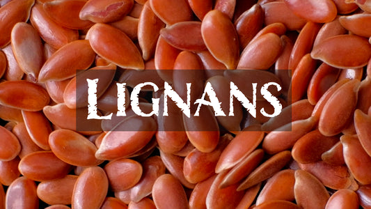 Lignans: Nutritional Warriors