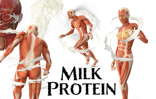 Benefits of Milk Protein: Casein & Whey